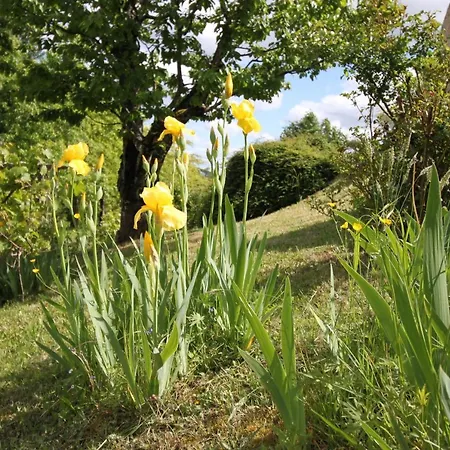 La Maison De Lassagne بيت للعطل Saint-Andre-d'Allas