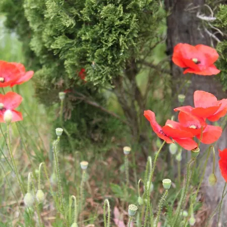 La Maison De Lassagne Casa de Férias *
