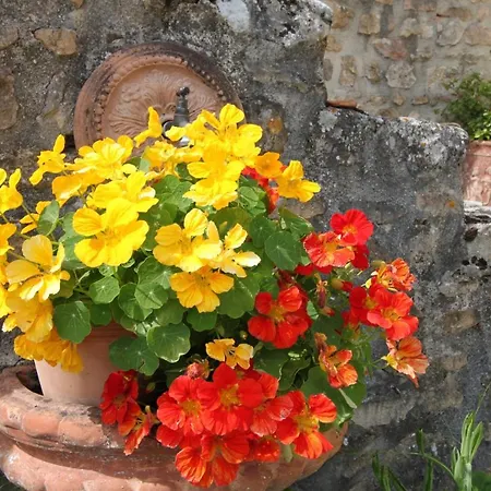 La Maison De Lassagne