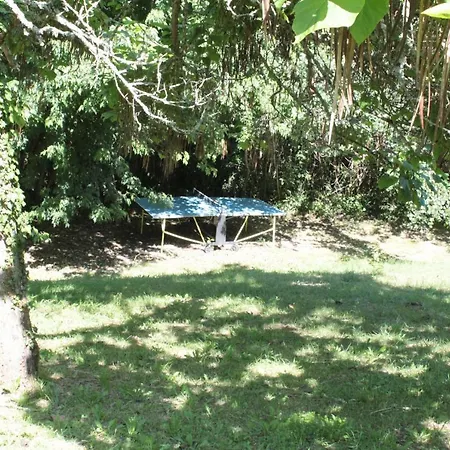 La Maison De Lassagne Saint-Andre-d'Allas