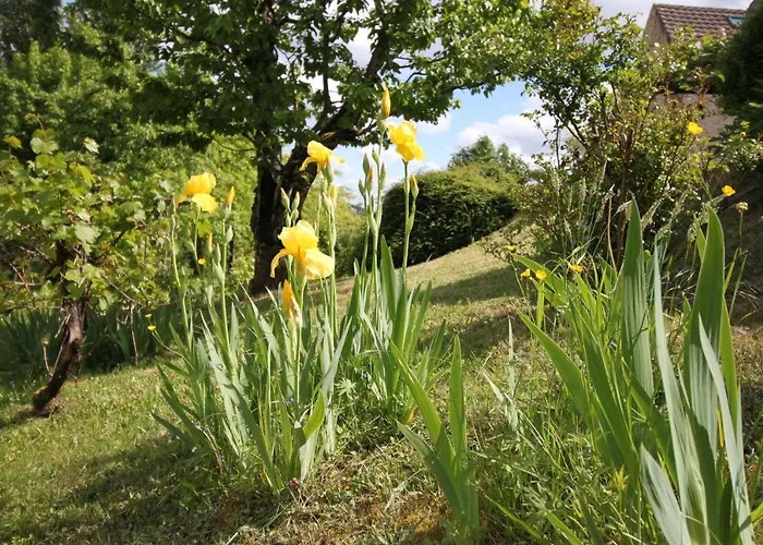 La Maison De Lassagne Nyaraló Saint-André-d'Allas