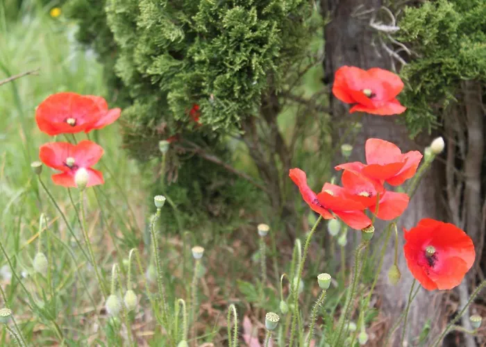 La Maison De Lassagne Casa vacanze *