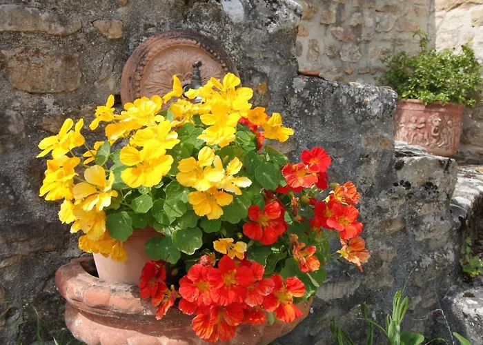 La Maison De Lassagne