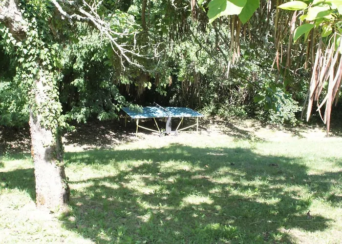 La Maison De Lassagne Saint-André-d'Allas